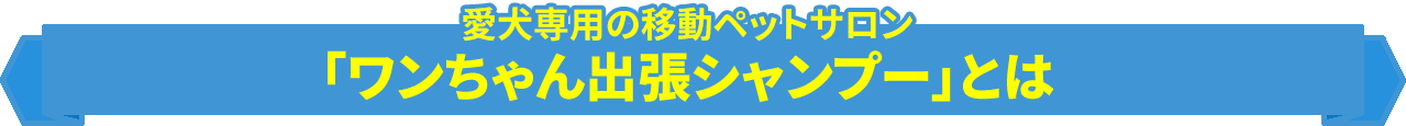 愛犬専用の移動ペットサロン「ワンちゃん出張シャンプー」とは