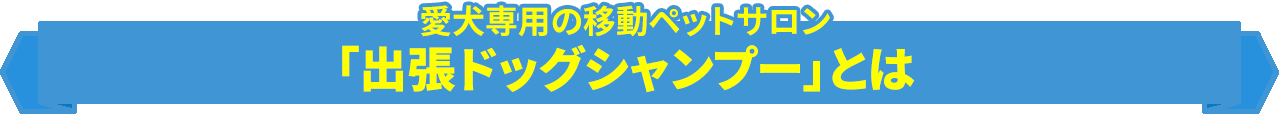 愛犬専用の移動ペットサロン「出張ドッグシャンプー」とは