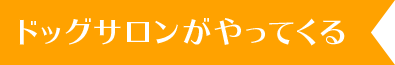 ご自宅前シャンプー