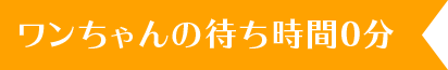 ワンちゃんの待ち時間0分