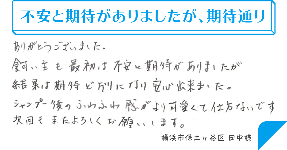 不安と期待がありましたが、期待通り