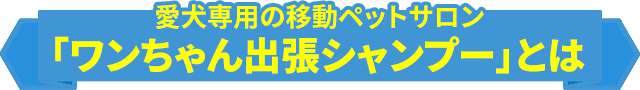 愛犬専用の移動ペットサロン「ワンちゃん出張シャンプー」とは