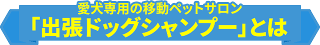 愛犬専用の移動ペットサロン「出張ドッグシャンプー」とは